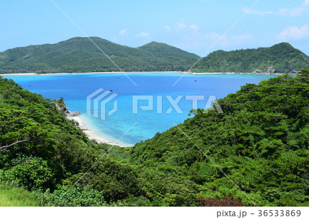 座間味島 座間味島 36533869