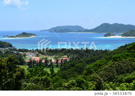 座間味島 36533870