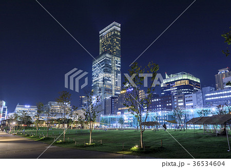 大阪・あべのハルカスの夜景 36534604