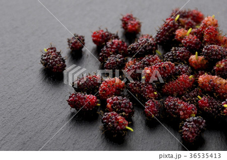 クワの実 36535413