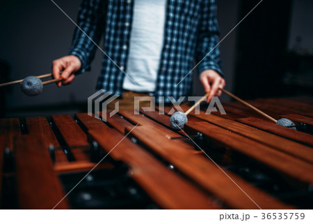 Xylophone player hands with sticks, wooden sounds Xylophone player hands with sticks, wooden sounds 36535759