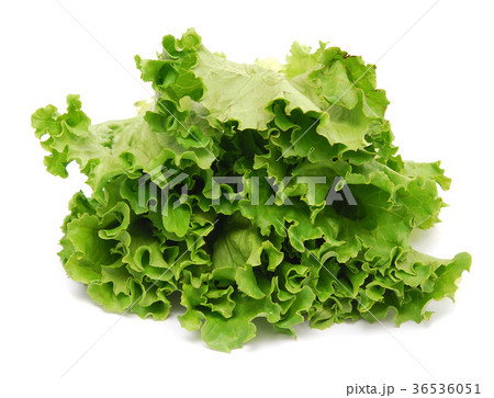 lettuce 36536051