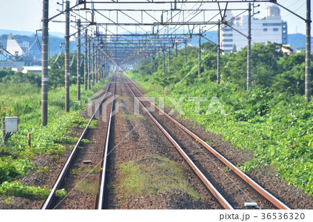 複線のレール 複線のレール 36536320