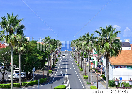 館山駅西口の景色 36536347