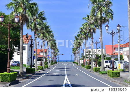 館山駅西口の景色 館山駅西口の景色 36536349