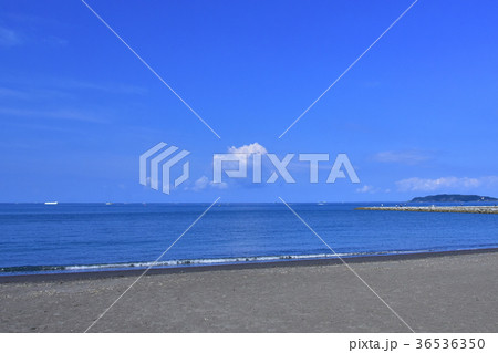 館山湾の風景 36536350