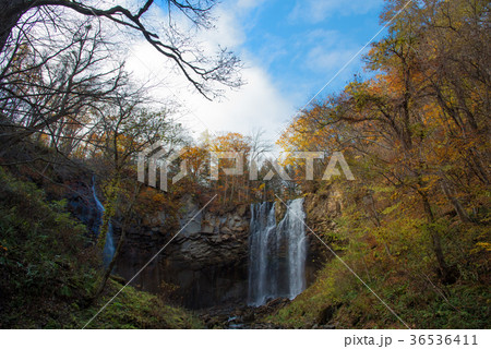 アシリベツの滝 滝野すずらん丘陵公園 アシリベツの滝 滝野すずらん丘陵公園 36536411
