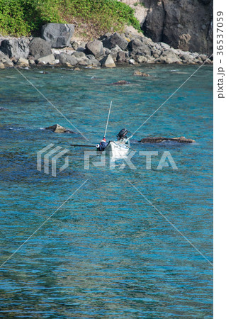 積丹の海 ウニ漁 積丹の海 ウニ漁 36537059