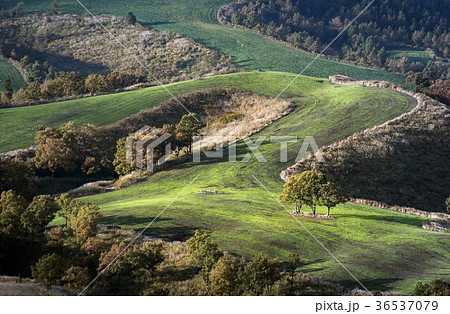 清水の滝 36537079