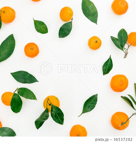 Frame of citrus fruit on white background Frame of citrus fruit on white background 36537282