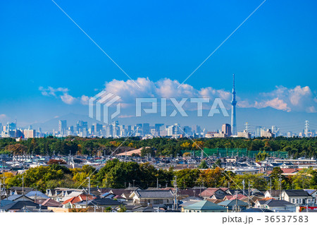 スカイツリーを望む都市風景 36537583