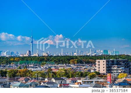 スカイツリーを望む都市風景 36537584