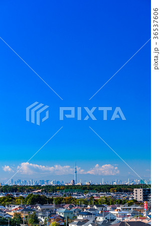 スカイツリーを望む都市風景 スカイツリーを望む都市風景 36537606