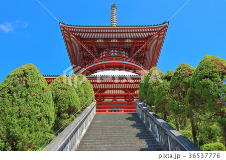 成田山新勝寺 平和大塔 成田山新勝寺 平和大塔 36537776