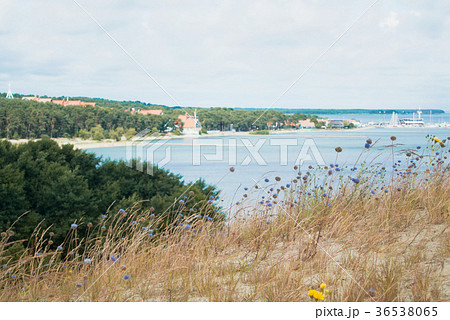 Blurred background with Nida pier, a view from  36538065