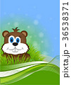 greeting card on Groundhog day 36538371