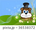 greeting card on Groundhog day 36538372