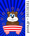 greeting card on Groundhog day 36538381