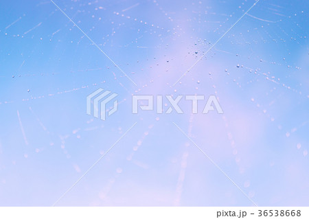 Abstract blur light blue sky background spider web 36538668