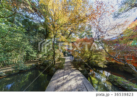 アジア人 アジアン アジア風 36539823