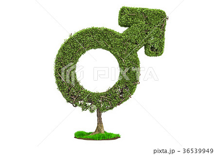 Tree shaped as male gender symbol Tree shaped as male gender symbol 36539949