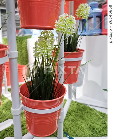 White Artificial Allium Giganteum in Metal Pots 36540669