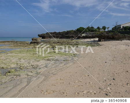 与論島・シーマンズビーチ 与論島・シーマンズビーチ 36540908