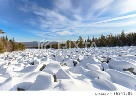 Sea of stones covered with snow, beautiful winter 36541589