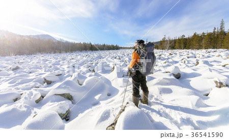 Hiker with backpack on the snow field of stones at Hiker with backpack on the snow field of stones at 36541590