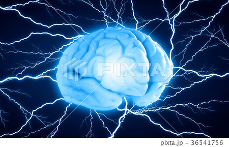 Digital human brain Digital human brain 36541756
