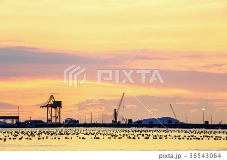Container Cargo freight ship with working crane Container Cargo freight ship with working crane 36543064