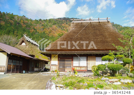 美山かやぶきの里 美山かやぶきの里 36543248