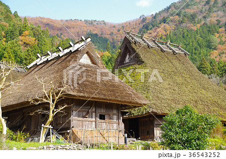 美山かやぶきの里 美山かやぶきの里 36543252