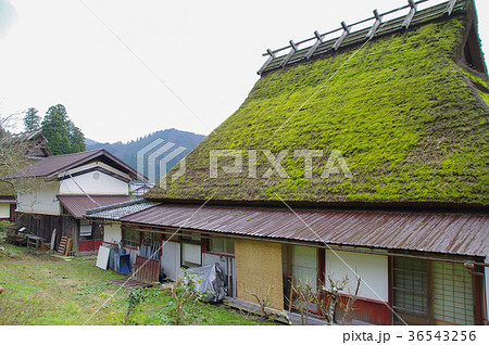 美山かやぶきの里 美山かやぶきの里 36543256