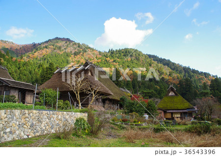 美山かやぶきの里 美山かやぶきの里 36543396