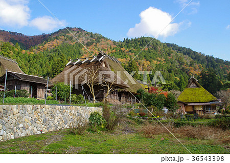 美山かやぶきの里 36543398