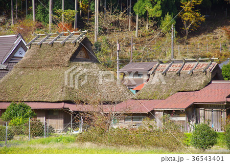 美山かやぶきの里 36543401