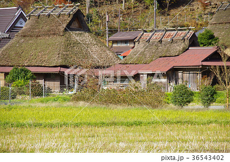 美山かやぶきの里 美山かやぶきの里 36543402