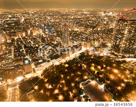 新宿の夜景　 36543656