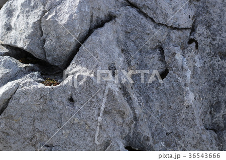 四国カルスト 36543666