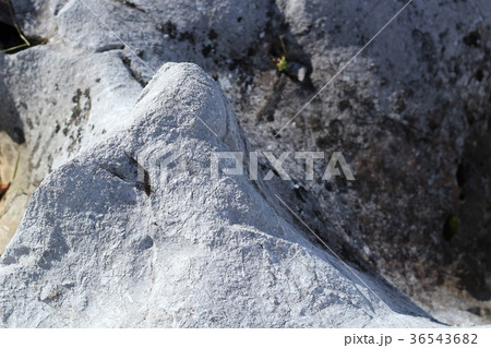 四国カルスト 四国カルスト 36543682