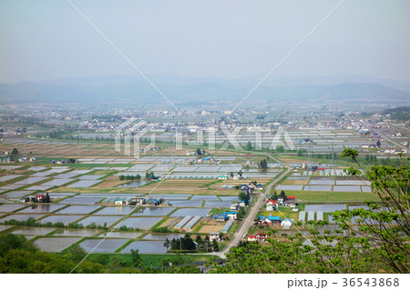 北海道旭川市 田園風景 北海道旭川市 田園風景 36543868