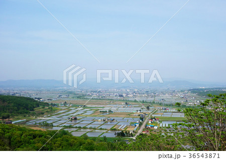 北海道旭川市 田園風景 北海道旭川市 田園風景 36543871