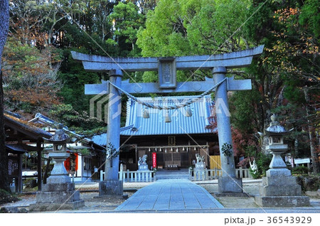 豊田市　松平東照宮鳥居と社殿 36543929