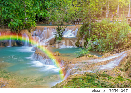 Tad Sae Waterfalls at Luang prabang, Laos. 36544047