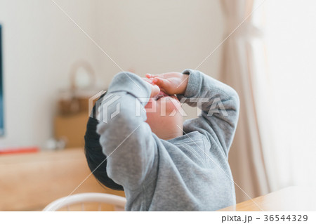 2 years old 2 years old 36544329