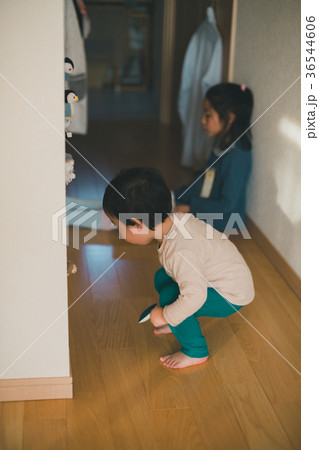 2 years old & 7 years old 2 years old & 7 years old 36544606