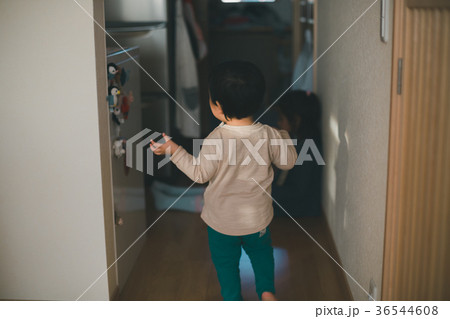 2 years old　&　7 years old 36544608