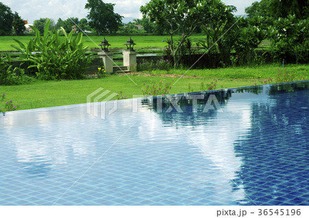 Topical open air Swimming pool in the nature Topical open air Swimming pool in the nature 36545196