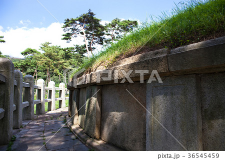 韓国 風景 森 36545459